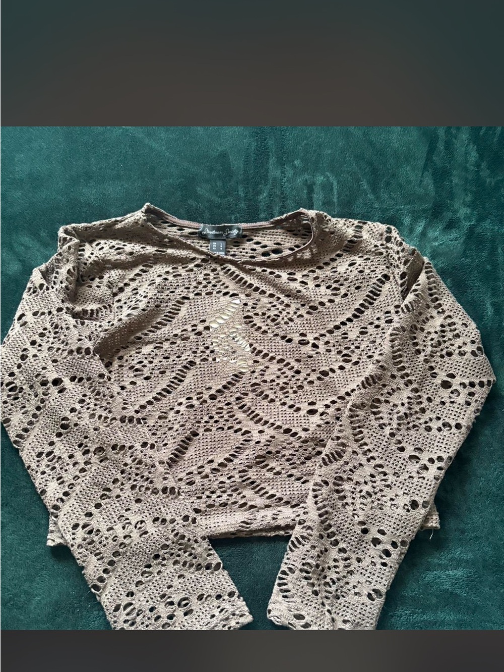 Streetwear Society Taupe Crochet Crop Top
